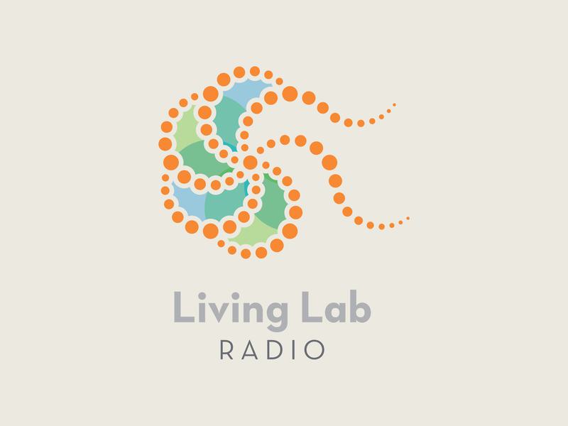 Primary logo